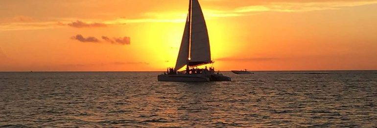 Summer Sunset Celebrations with LIVE Steel Drum Band Music